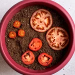 Growing Cherry Tomatoes on Your Balcony – A Step-by-Step Guide