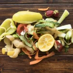 Bedbugs: Effective Ways to Eliminate Them from Your Home