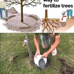 Try burning a sprig of rosemary at home and observe the effects after 10 minutes.