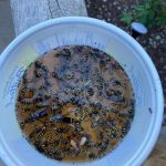 GRASS CLIPPINGS: 15 Ways To Use Them, That Goes Way Beyond Composting