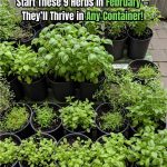 Say Goodbye to Wasps with This Easy DIY Wasp Trap – It Really Works!