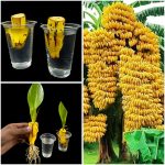 How to Tell if an Egg Is Bad