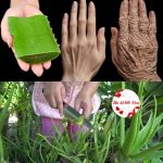 How to Tell if an Egg Is Bad