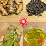 9 Fruit Trees You Can Grow Indoors in a Pot