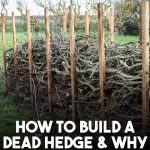 6 Natural Face Mask Recipes for Perfect Skin