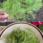 How to Unclog a Blocked Drain and Eliminate Bad Odors in 5 Seconds: Natural Ingredients to the Rescue