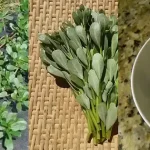 Darn, I didn’t guess right!