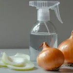 10 fruit trees you can easily grow in a pot at home & how to do it