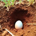 I had no idea you could do this