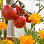 No one told me about this