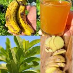 The Power of Onion and Cloves: A Natural Remedy for Health and Household