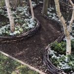 Lose Weight in 7 Days Forever! Melt Belly & Hip Fat with Cinnamon & Lemon