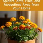 Mix Toothpaste and Vaseline: I Didn’t Expect It to Be This Effective