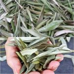 American Goulash Recipe