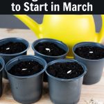 Put 1 sprig of rosemary in the oven and be amazed at what you will notice after 10 minutes