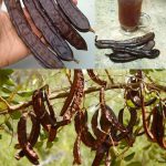 Put 1 sprig of rosemary in the oven and be amazed at what you will notice after 10 minutes