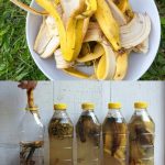 Healthy Flourless & Sugar-Free Energy Cookies