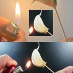 Crispy Cheesy Potato Rounds – A 4-Ingredient Delight!