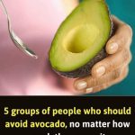 The Ultimate Guide to Planting Tomatoes: Expert Tips for Bountiful Harvests