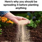 Natural Insect Repellent: A Simple Kitchen Solution