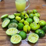 Bury a raw egg in a planter and here’s the effect on your garden