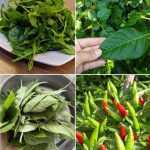 Why Do Bananas Have Those Tiny Strings? The Secret Behind Them!