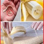 4 Things You Should Know Before Growing Blueberries In Pots