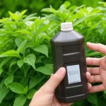 The Versatile Mint: Health Benefits, Uses, and How to Incorporate It into Your Daily Routine