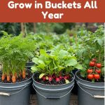 I had no clue about this!