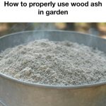 8 Foods You Can Grow in Buckets All Year