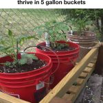 How to Detect Negative Energy in Your Home Using Salt, Water, and Vinegar