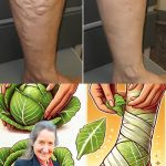 How to Deal with 10 Common Bathroom Bugs