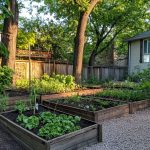 Avoid These 7 Cucumber Planting Mistakes for a Healthier Harvest