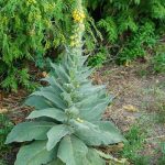 No one told me about this