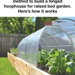 Don’t Discard the Flowers on Your Basil: Here are 8 Ways How to Use Them