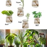 The Ultimate Guide to When to Plant Vegetables and Why