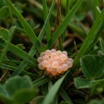 Did You Know? Salt Can Help Relieve Cramps, Arthritis, Tingling, Osteoarthritis & Inflammation!