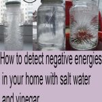 20 top veggies and fruits that thrive in 5 gallon buckets