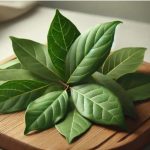 Creeping Thyme Lawn vs. Grass: Why You Should Make the Switch