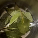The Health Benefits of Bay Leaves: Scientific Facts & Studies