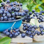 Why Do Bananas Have Those Tiny Strings? The Secret Behind Them!