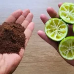 Strawberries and Baking Soda: A Natural Teeth Whitening Remedy