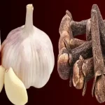 Aloe Vera: The Natural Secret to Wrinkle-Free, Youthful Skin – 1000 Times More Potent Than Botox!