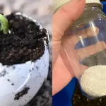 7 Reasons To Keep Silica Gel Packs