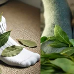 8 Foods You Can Grow in Buckets All Year