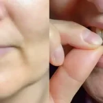 What’s This Thing Hanging from My Tree? I’m a Little Freaked Out!