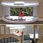 How to Make a Homemade Bird Water Feeder from a Plastic Bottle