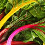 10 Easy-To-Make DIY Edging Projects