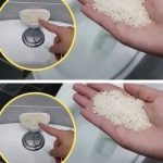 Cinnamon-Sugar Air Fryer Banana Chips | A Healthy and Delicious Snack Recipe