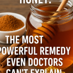 How to remove fleas from your cat or dog using simple and natural methods